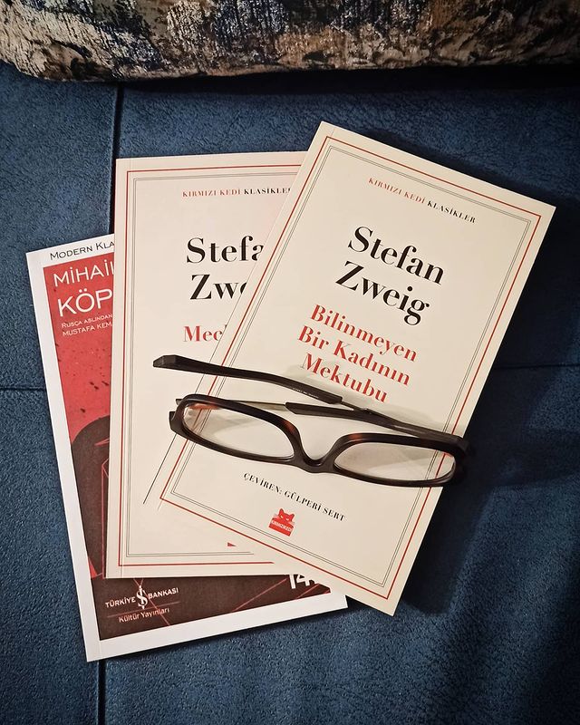 Bilinmeyen Bir Kadının Mektubu