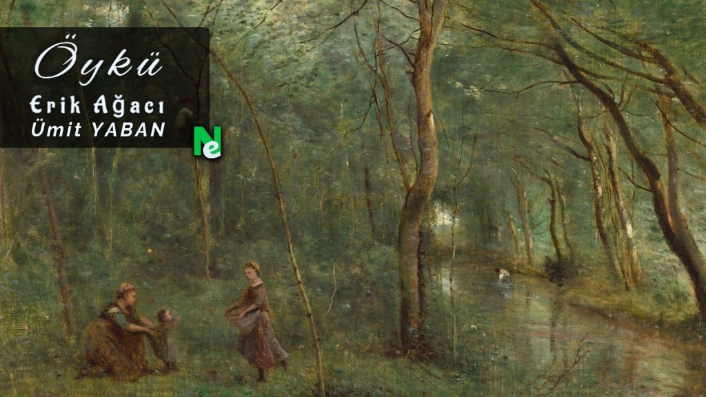 ümit yaban erik ağacı