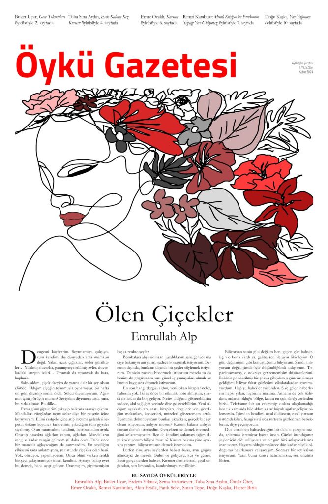Öykü Gazetesi 05
