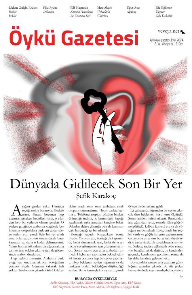 Öykü Gazetesi