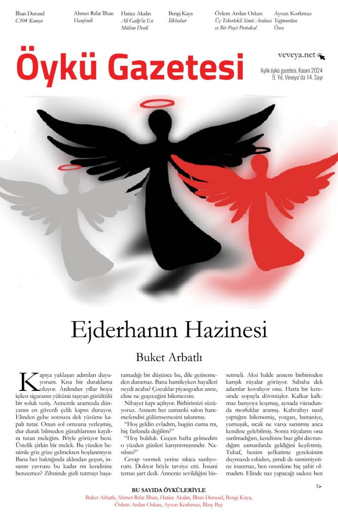 Öykü Gazetesi
